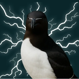 RAZORBILL