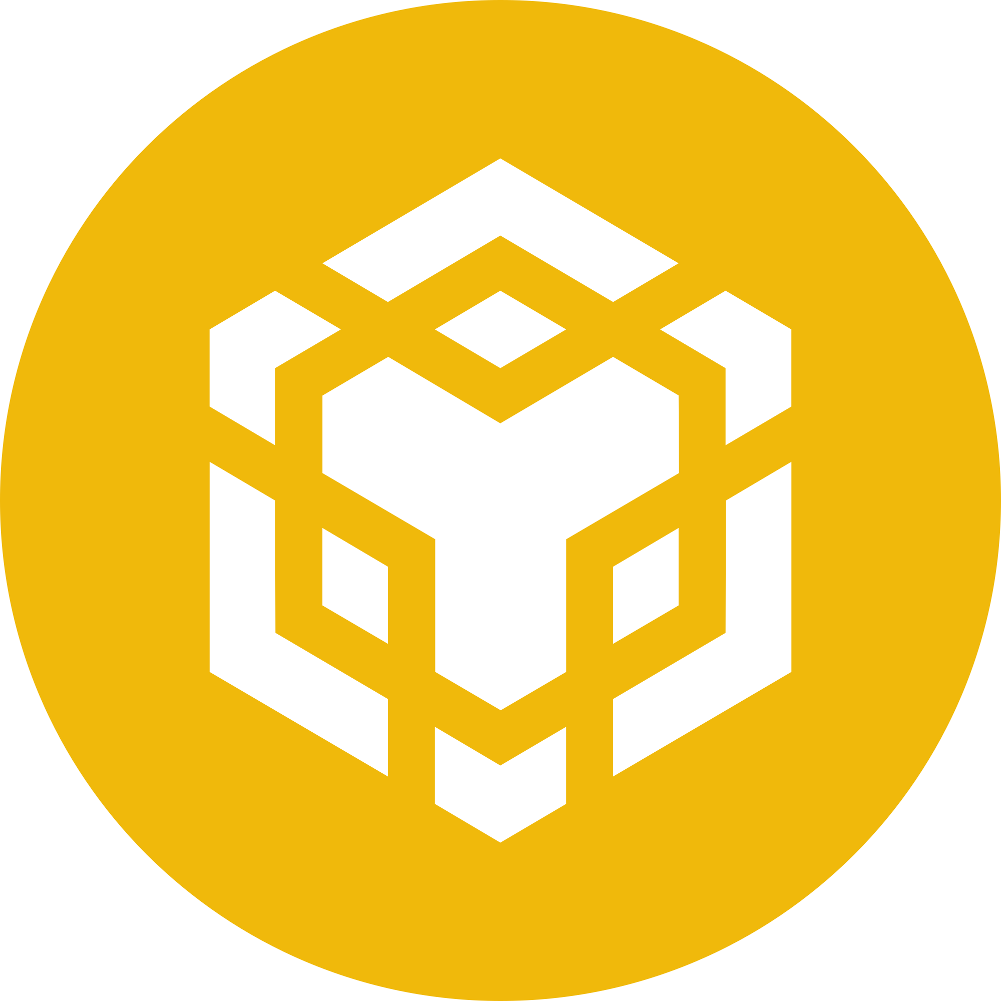 Bitcoin Coin