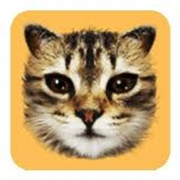 #CAT