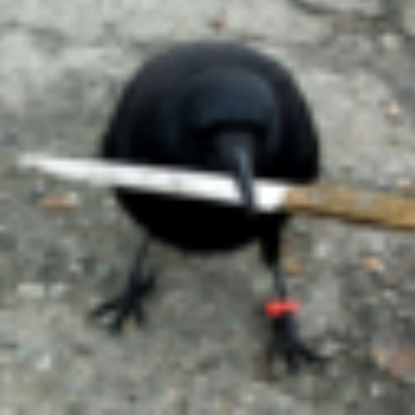 coin-crow with knife