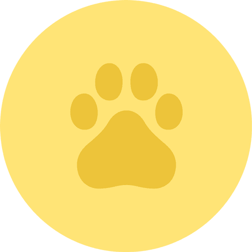 DXCT
