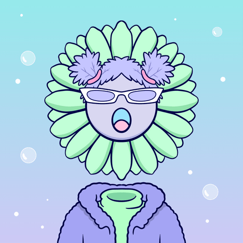 coin-Flower Fam
