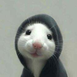 RATTHEW
