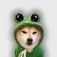 WOG